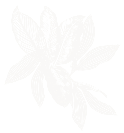 Illustrated leaves
