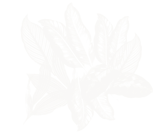 Illustrated leaves