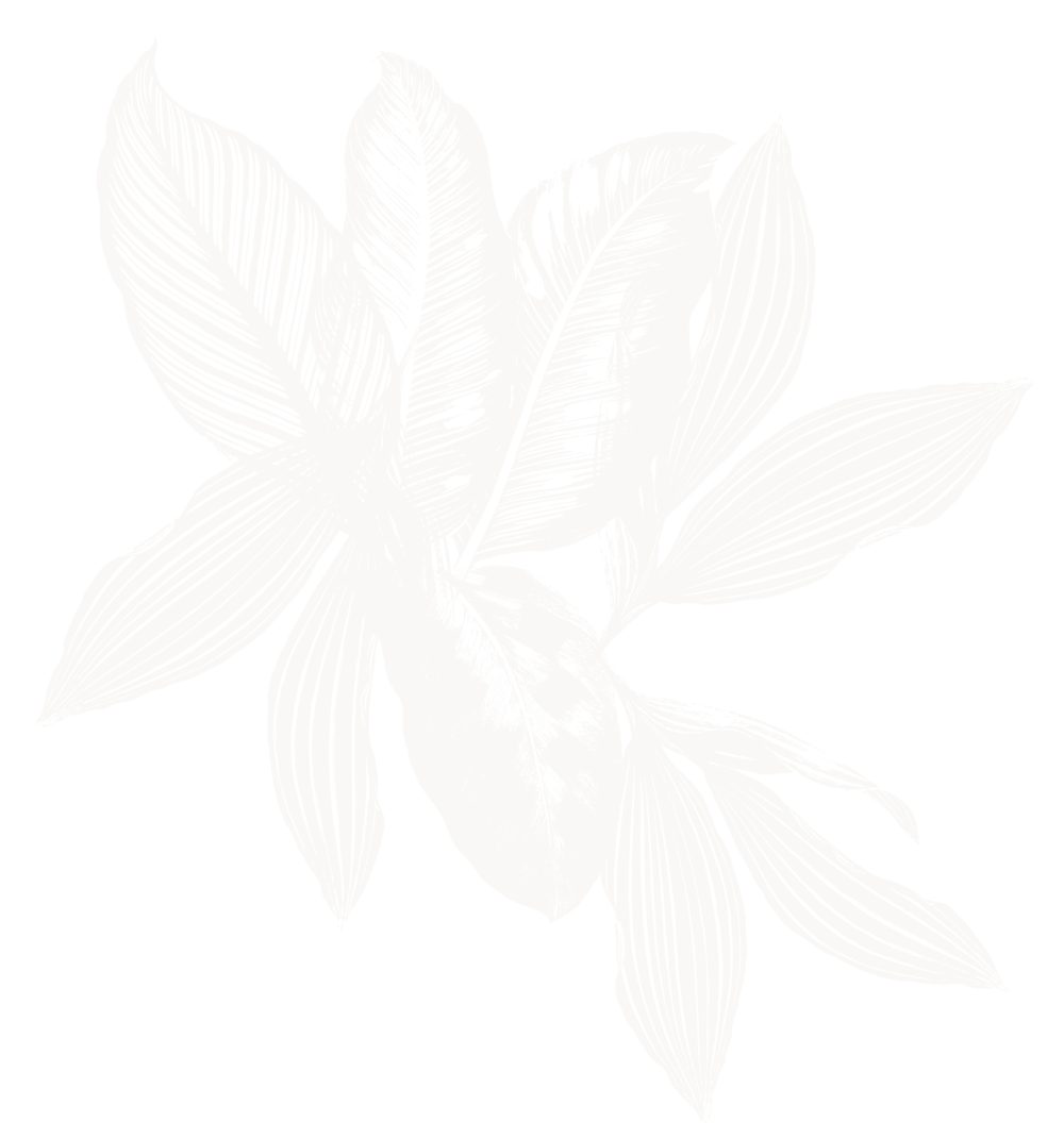 Illustrated leaves